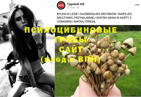 герыч Инсар