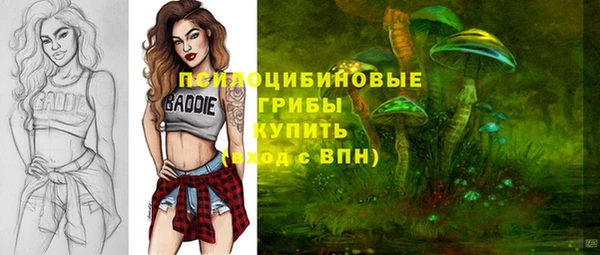 герыч Инсар