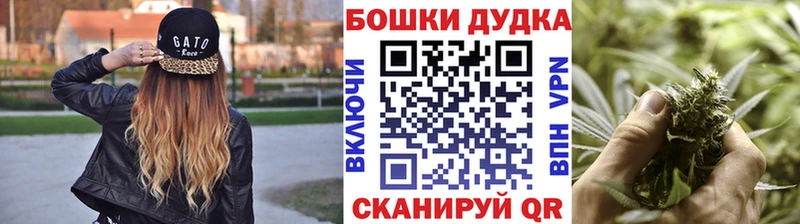 Купить закладки  Волхов  Шишки марихуана сатива 